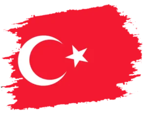 a flag with a white star and a red triangle